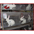 Factory Design Rabbit Mesh Cages For Kenya